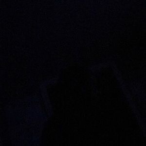 Meet your Posher, Torriyelle